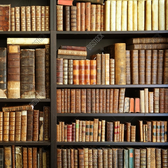 Books: Literature - Fiction, Memoirs, How-to, etc. - Picture 5 of 6